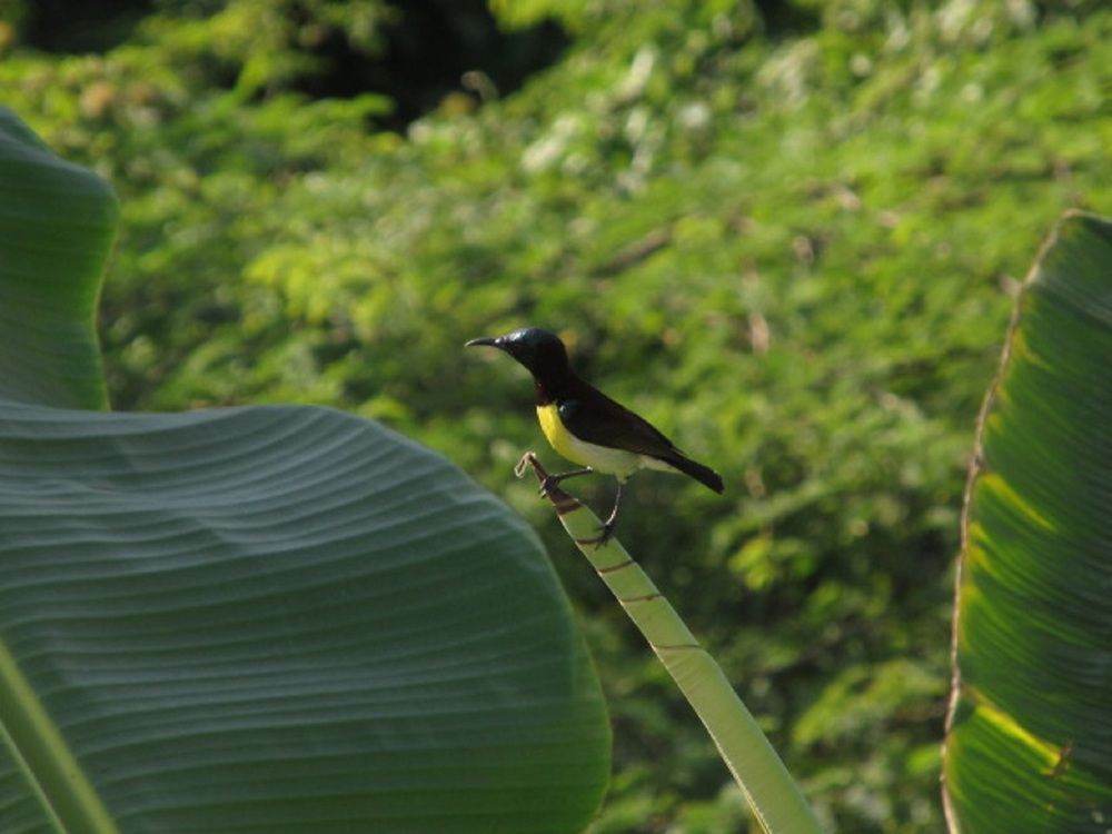 Photograph by Sai Pixels