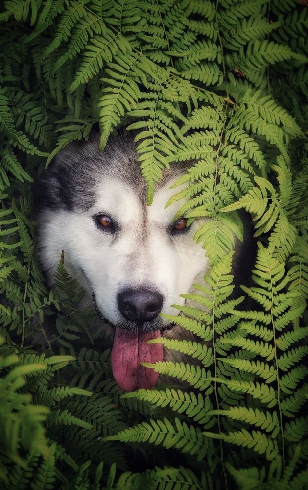 Photograph by Ольга Саенко