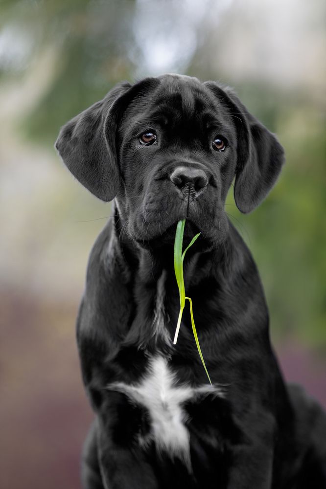 Photograph by Anna Oris