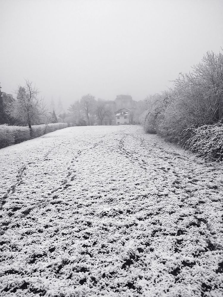 Photograph by Jasna Dragun