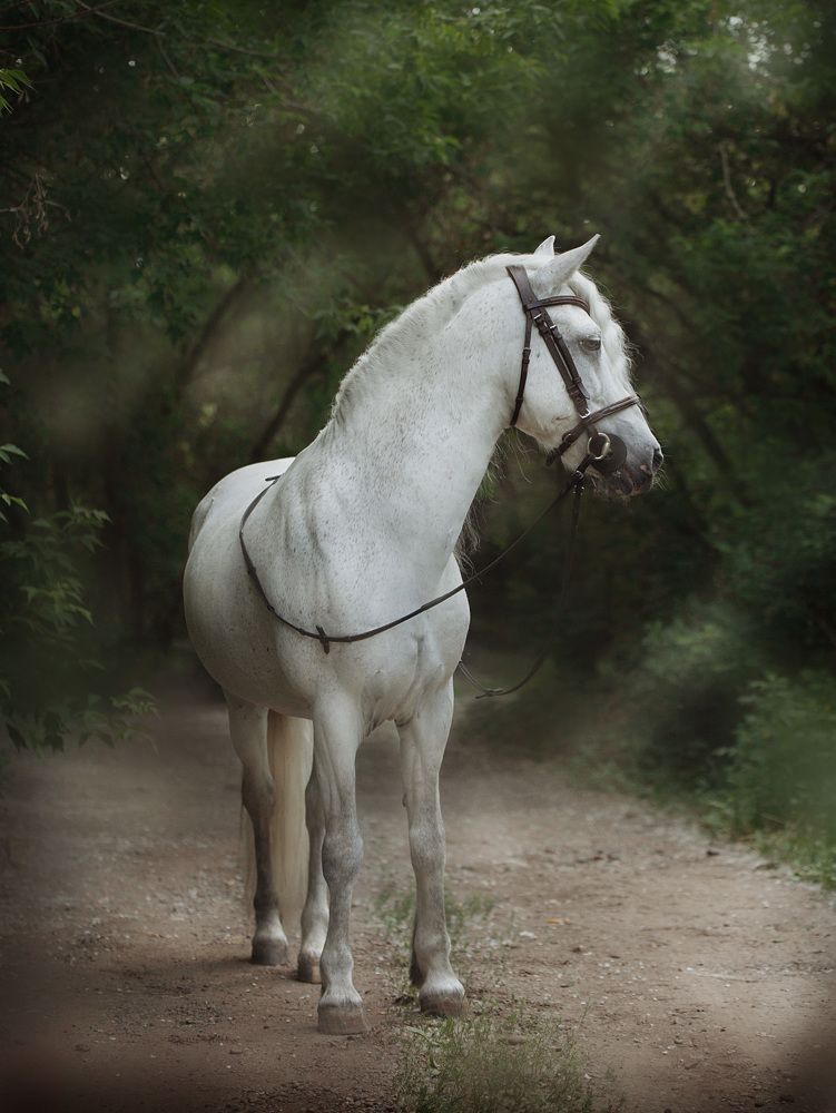 Photograph by Любовь Похабова