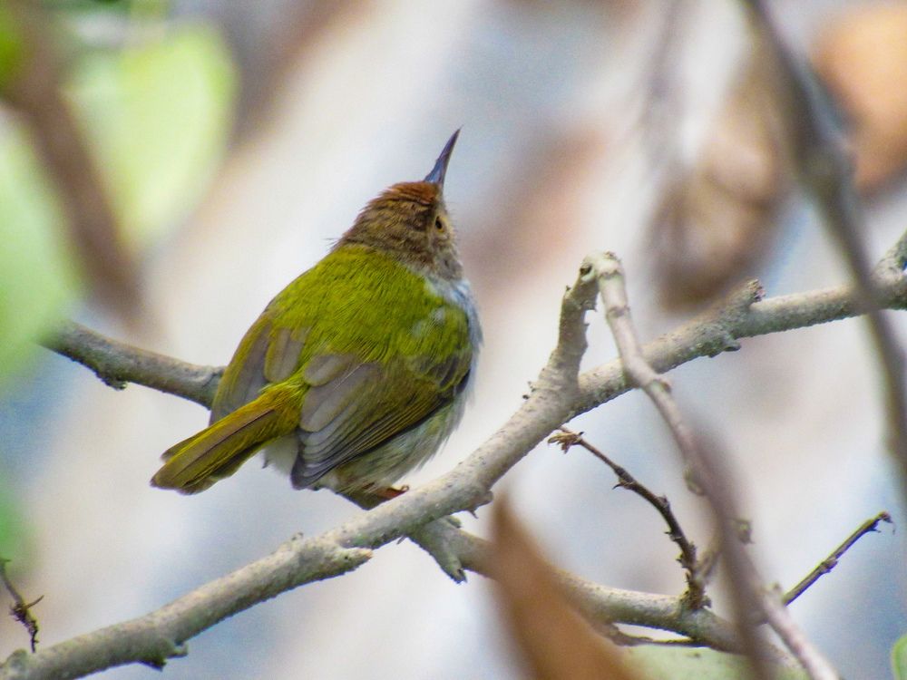 Photograph by SUSMITA SARDAR