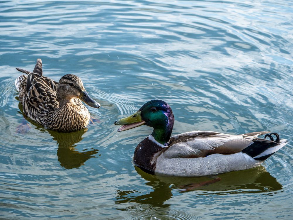 Photograph by Руслан Ибрагимов