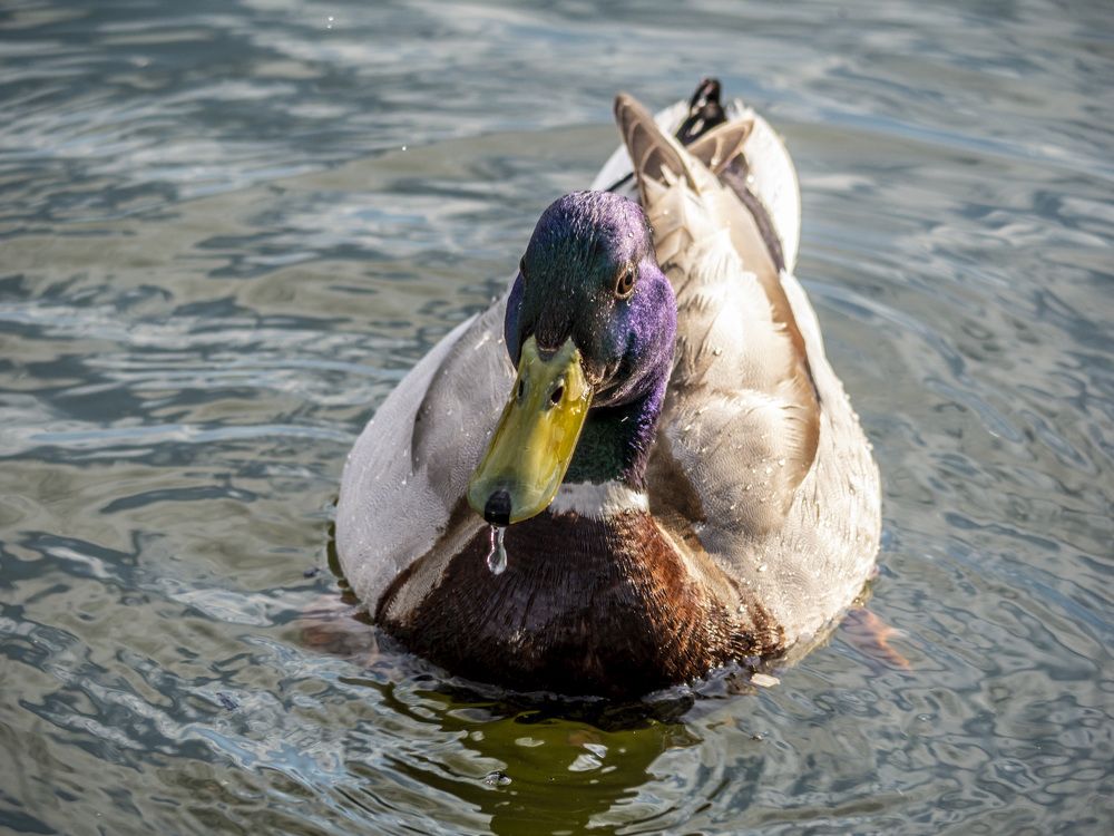 Photograph by Руслан Ибрагимов