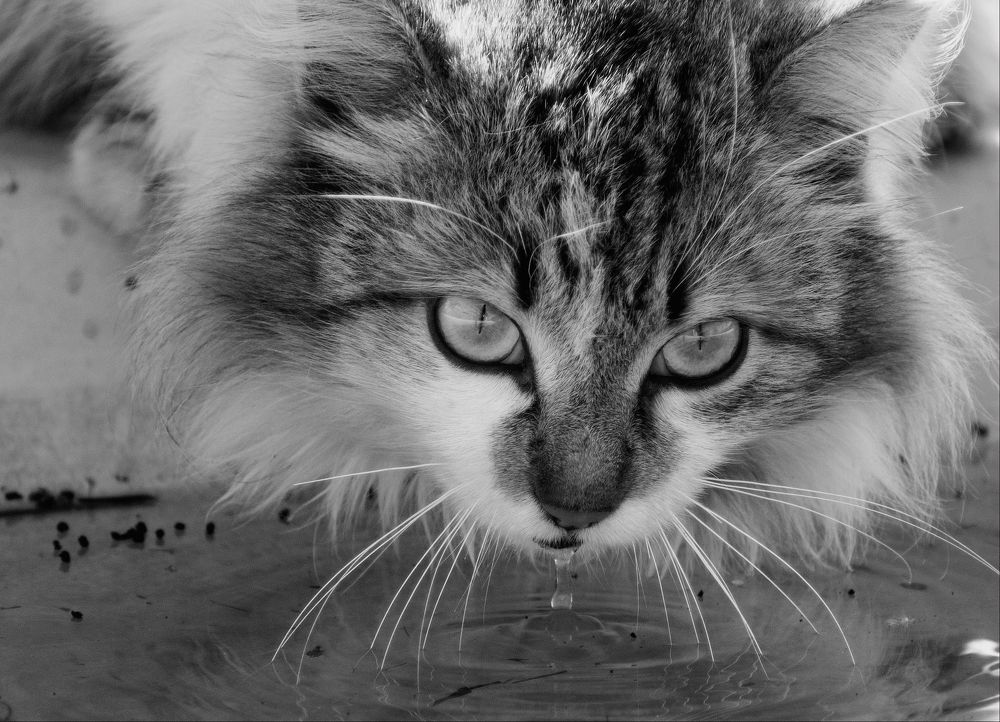 Photograph by Николай Мокшин