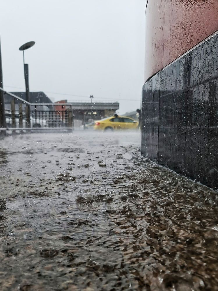 Photograph by Светлана Смирнова