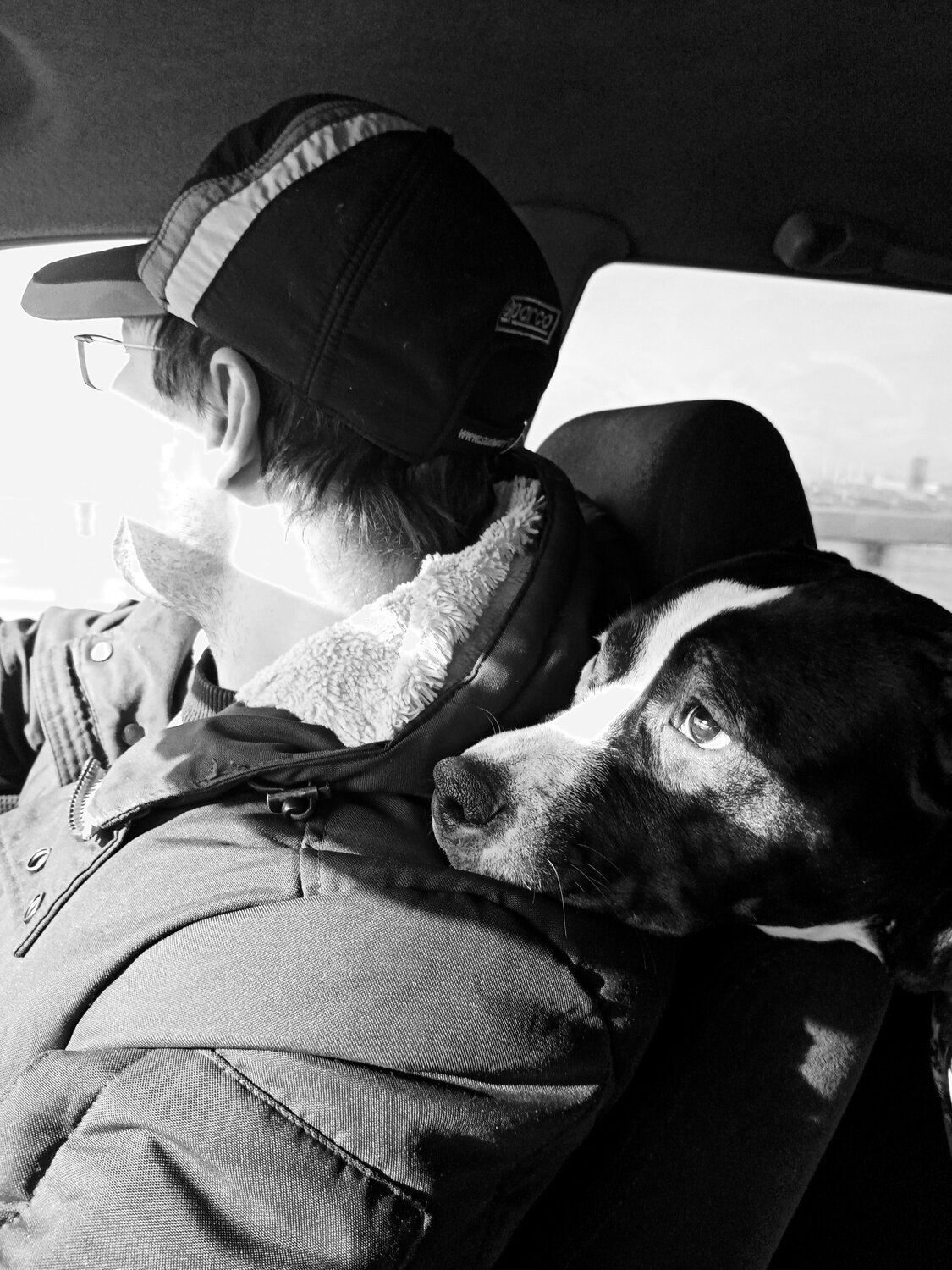 Photo #7675709
