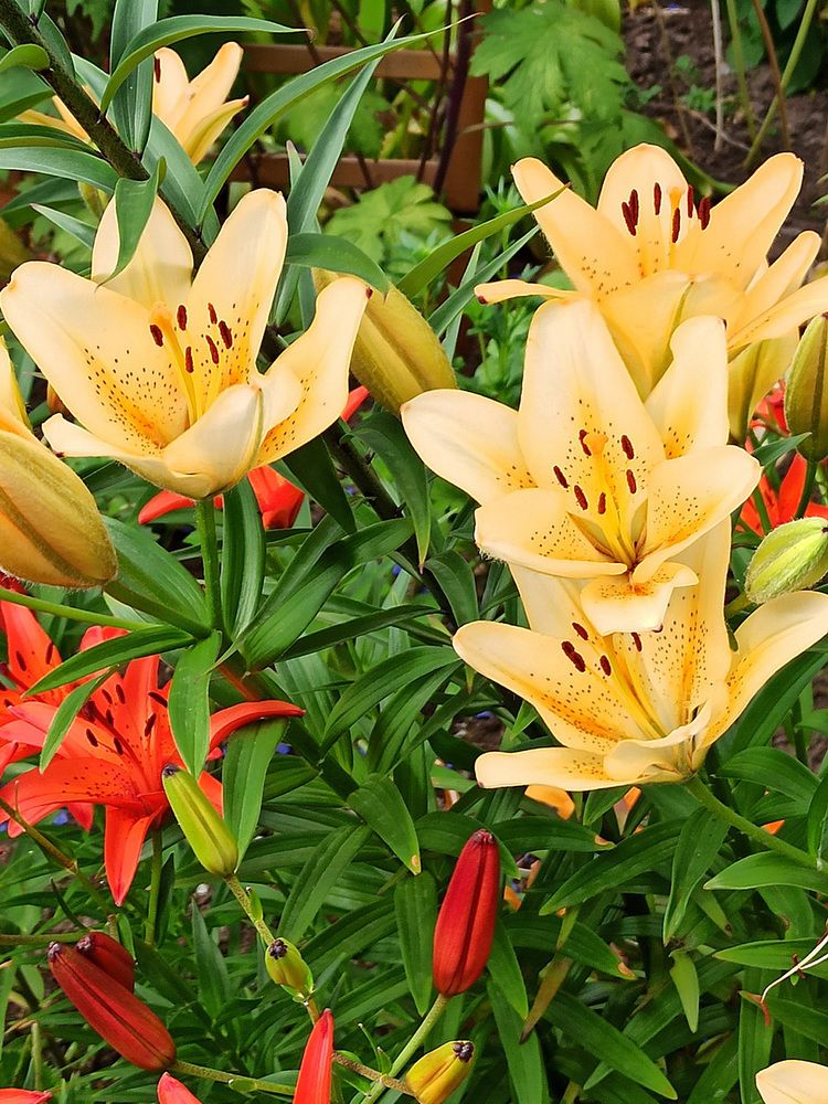 Photograph by Владимир Гашнев