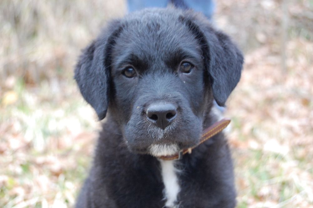 Photograph by Mario Mura