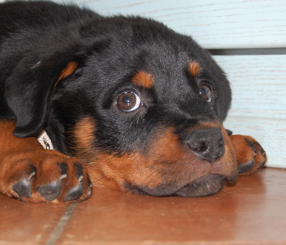 Photograph by Mario Mura