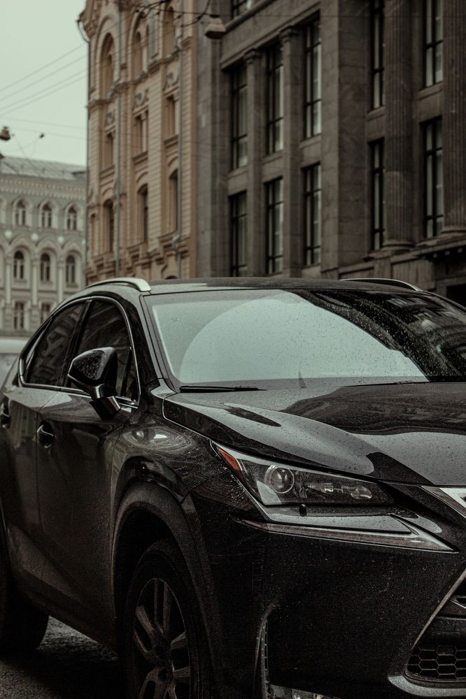 Photograph by Элина Данелия