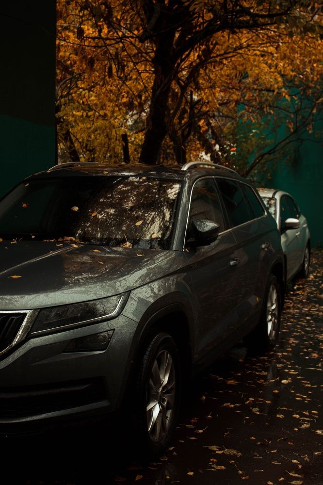 Photograph by Элина Данелия