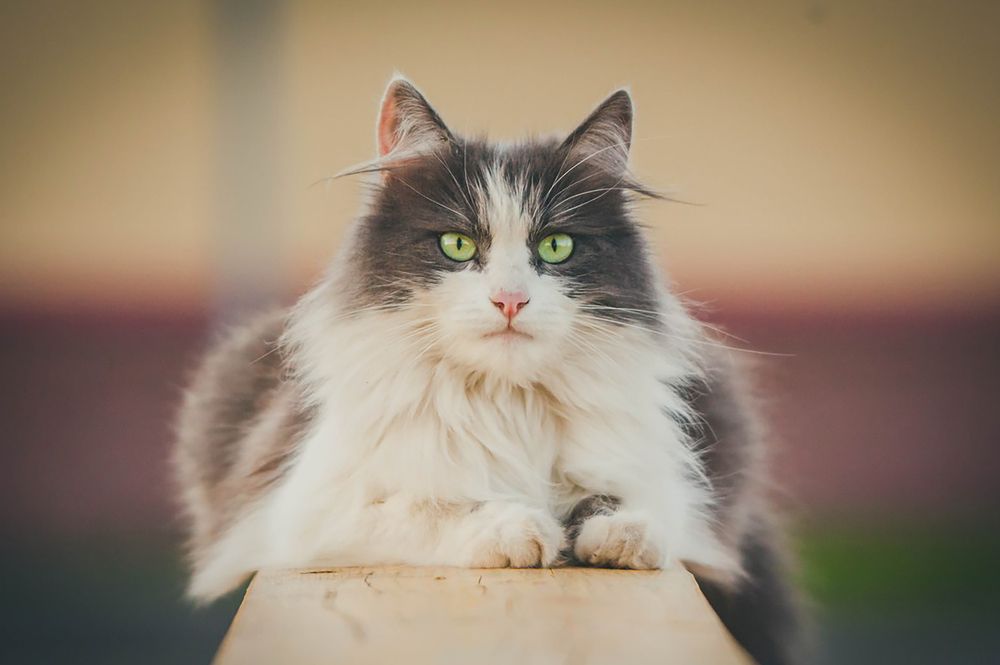 Photograph by Сергей Быков