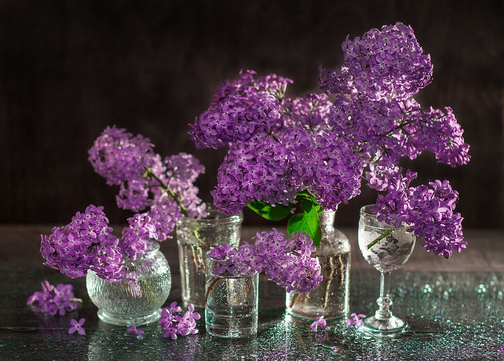 Photograph by Мария Шумилина