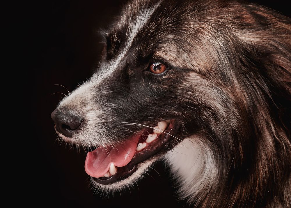 Photograph by Татьяна Колесникова