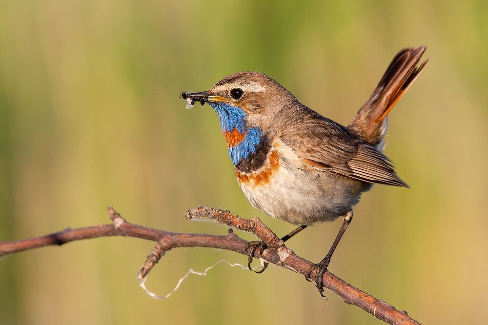 Photograph by Сосновских Вячеслав