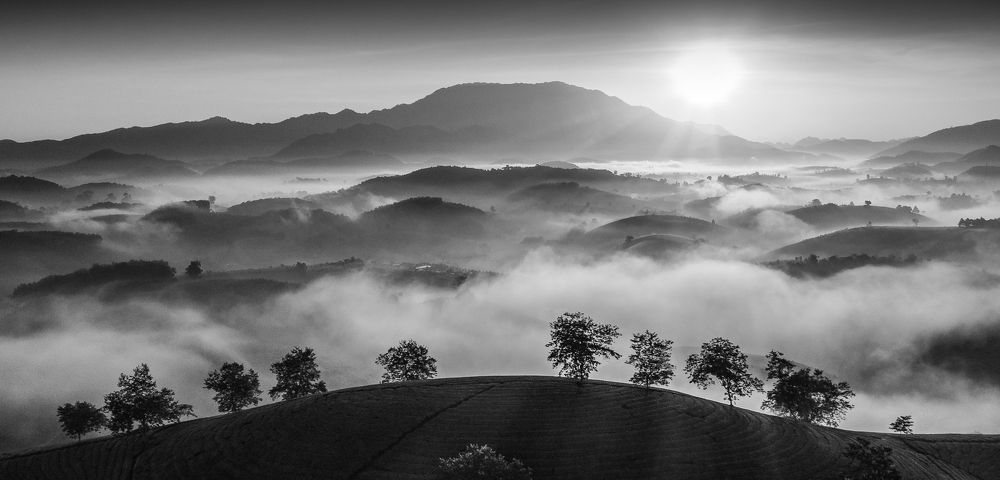 Photograph by Do Thu Quyen