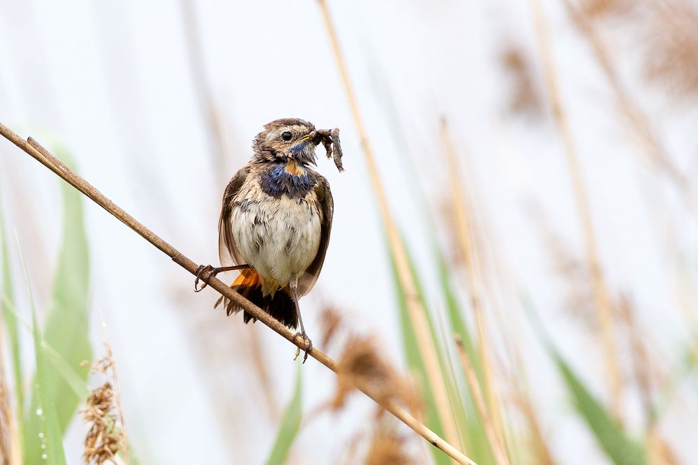 Photograph by Сосновских Вячеслав
