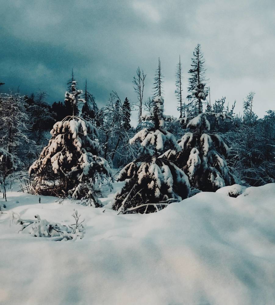 Photograph by Николай