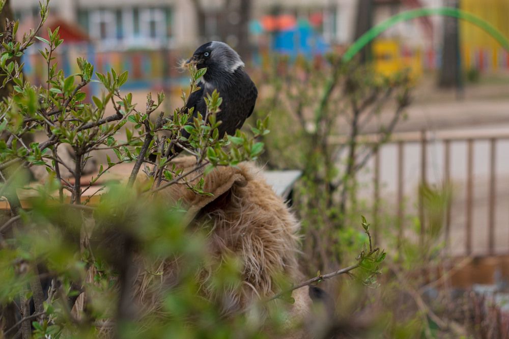 Photograph by Лилия Кондратьева