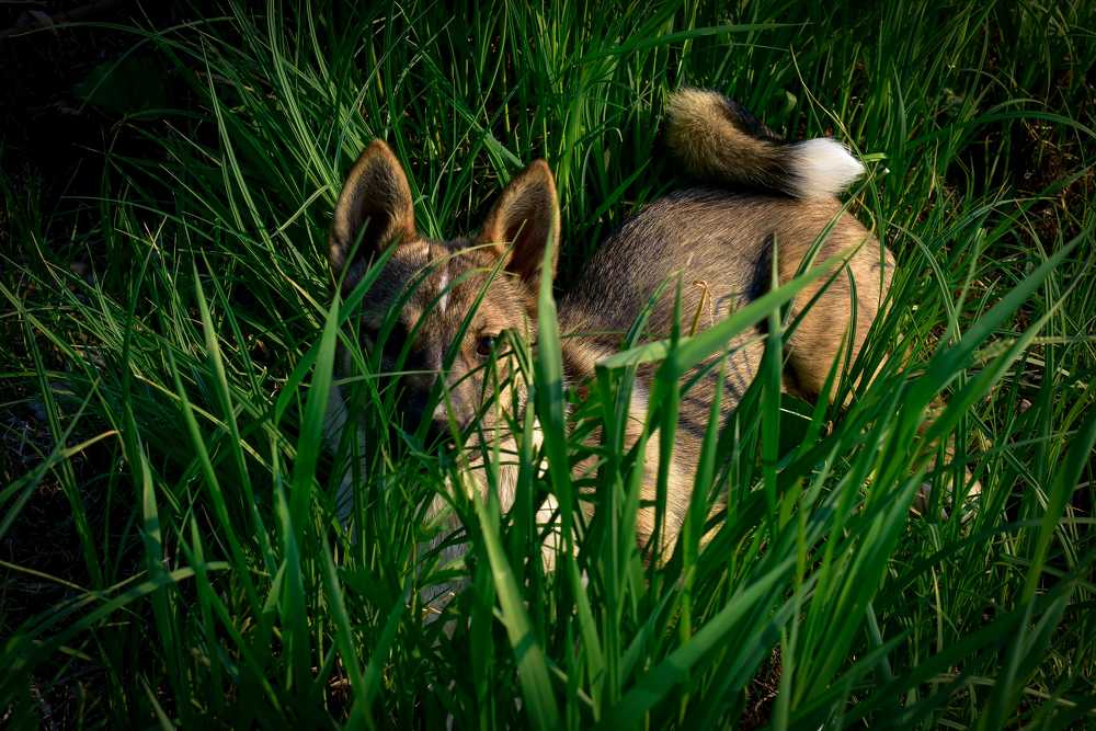 Photograph by Ольга Пономарева