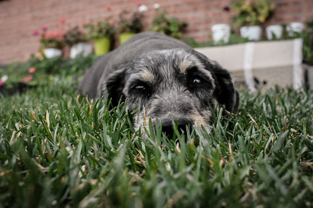 Photograph by Ольга Пономарева