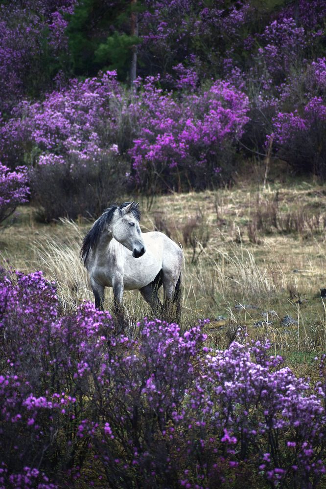 Photograph by Светлана Крат