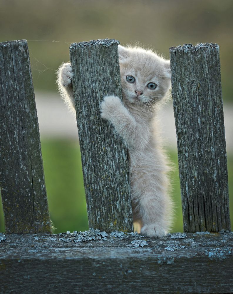 Photograph by Александр Гвоздь