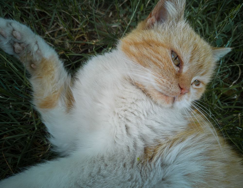 Photograph by Алексей Крукович