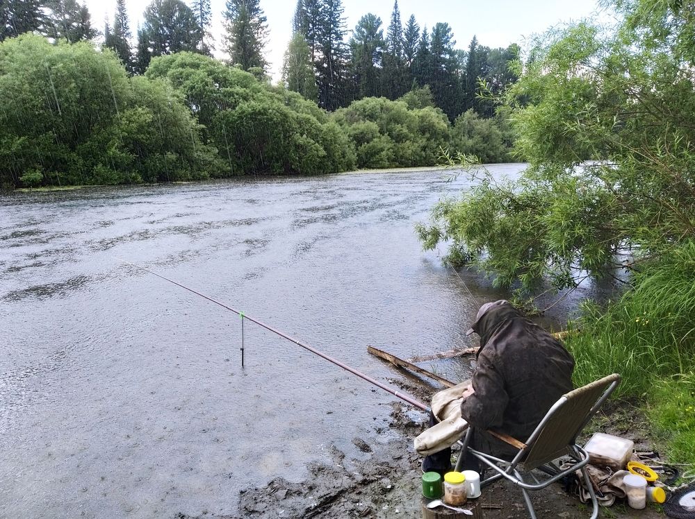 Photograph by Анатолий Майдуров