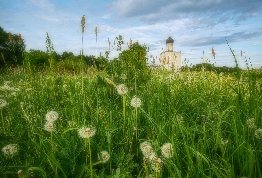 Photograph by Людмила ЧЕРНИКОВА