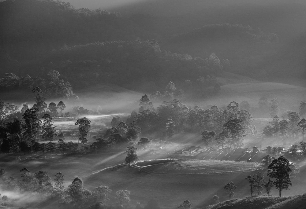 First Rays of The Sun