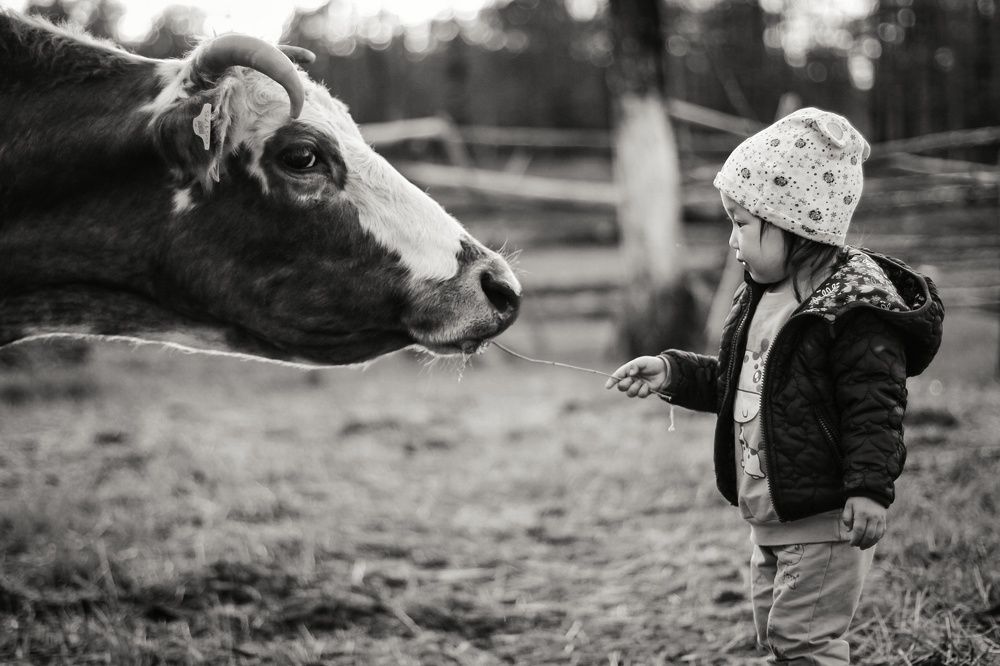 Photograph by Николай Никонов