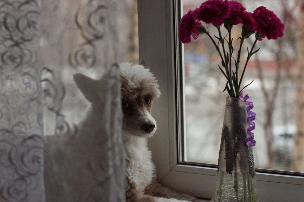 Photograph by Оксана