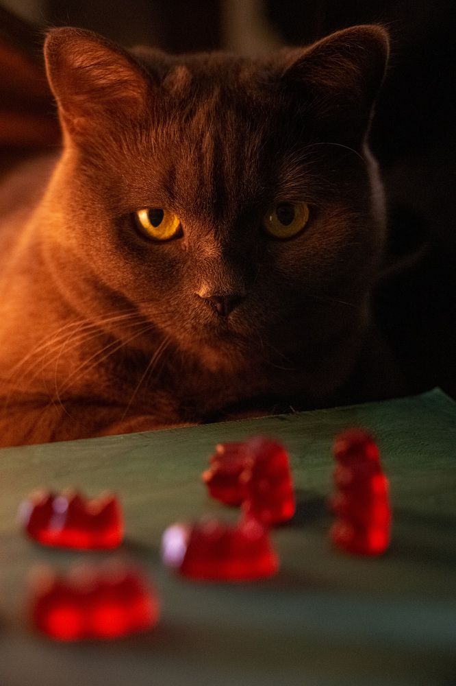 Photograph by Оксана