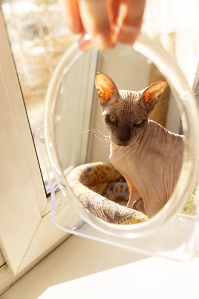 Photograph by Оксана