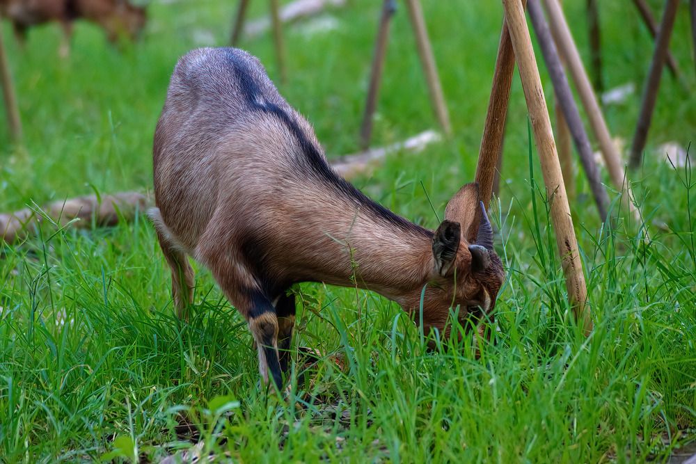 Фотография автора Trần Minh Thìn