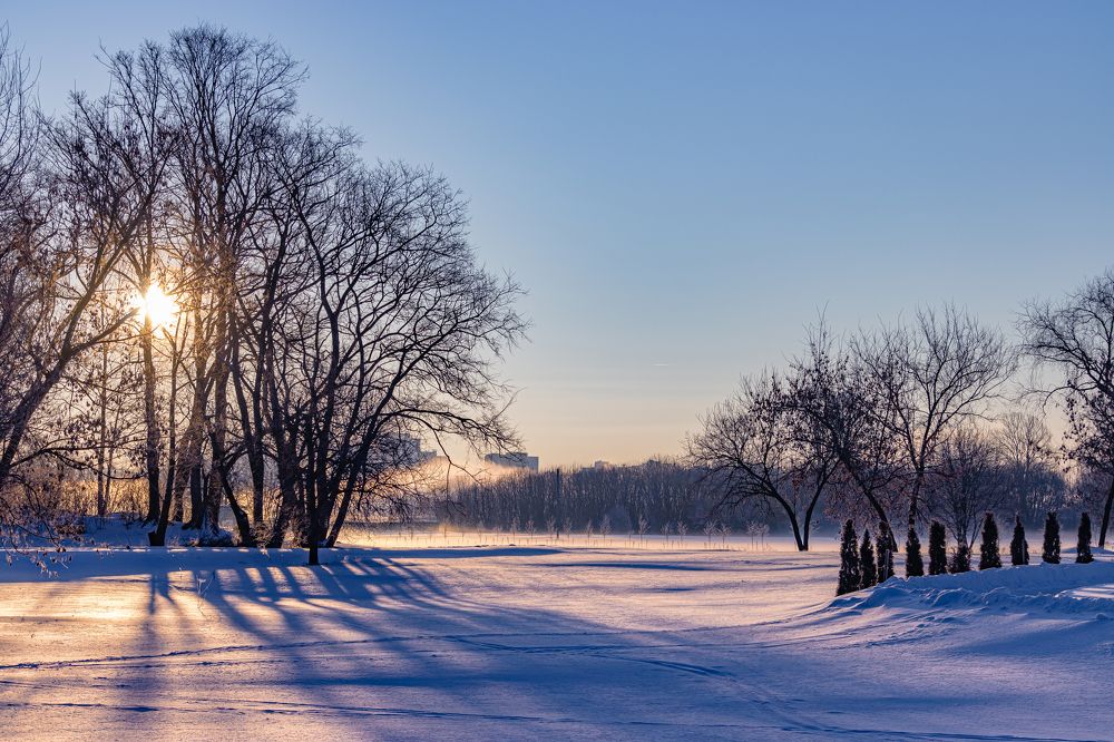 Зимний парк