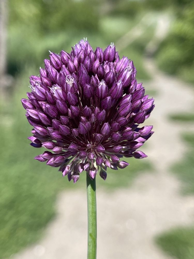 Photograph by Svetlana Nesterova