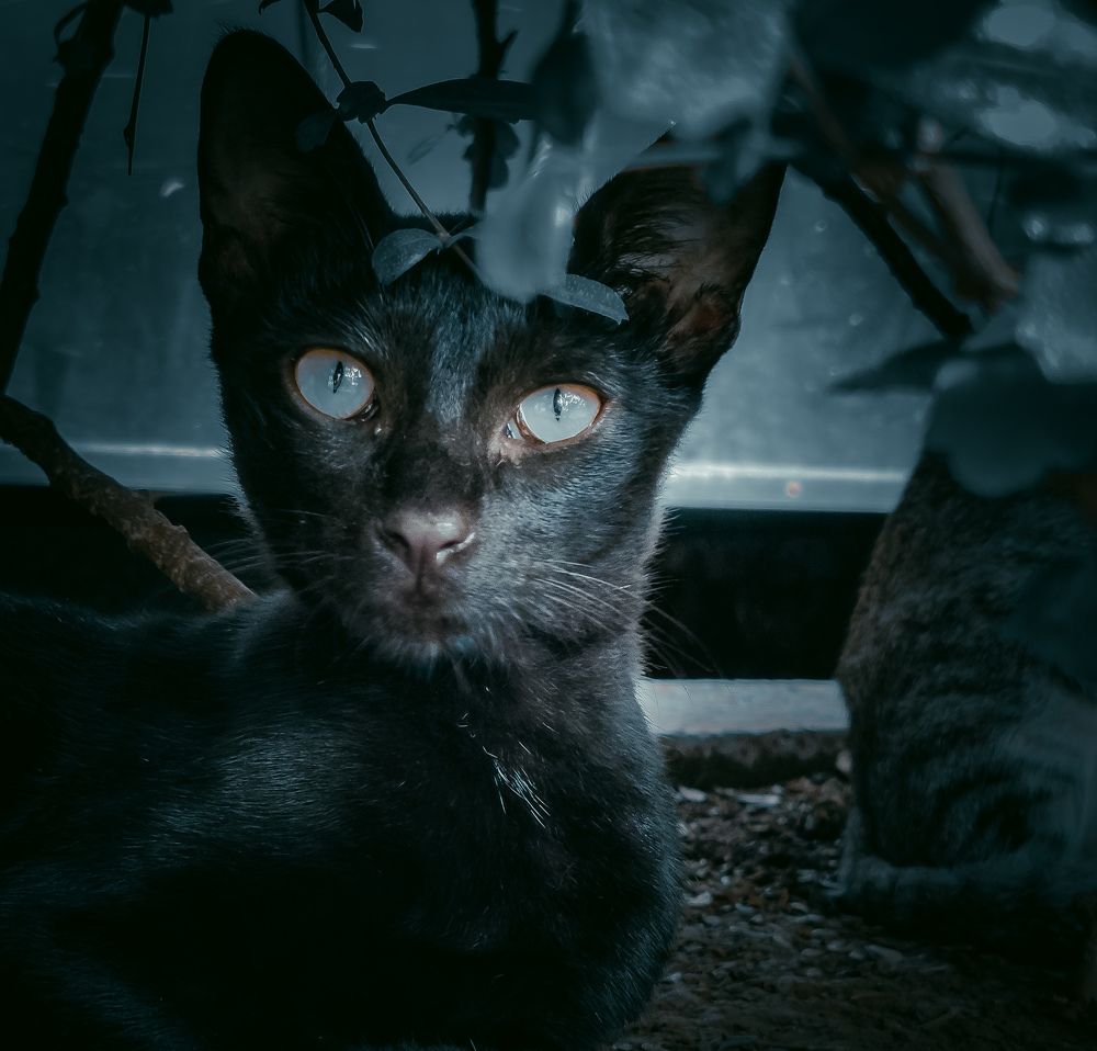 Photograph by Furqan Ahmed Golandaz