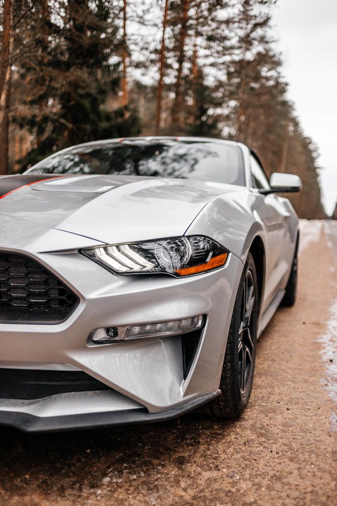 Фотография автора Юлия Виноградова