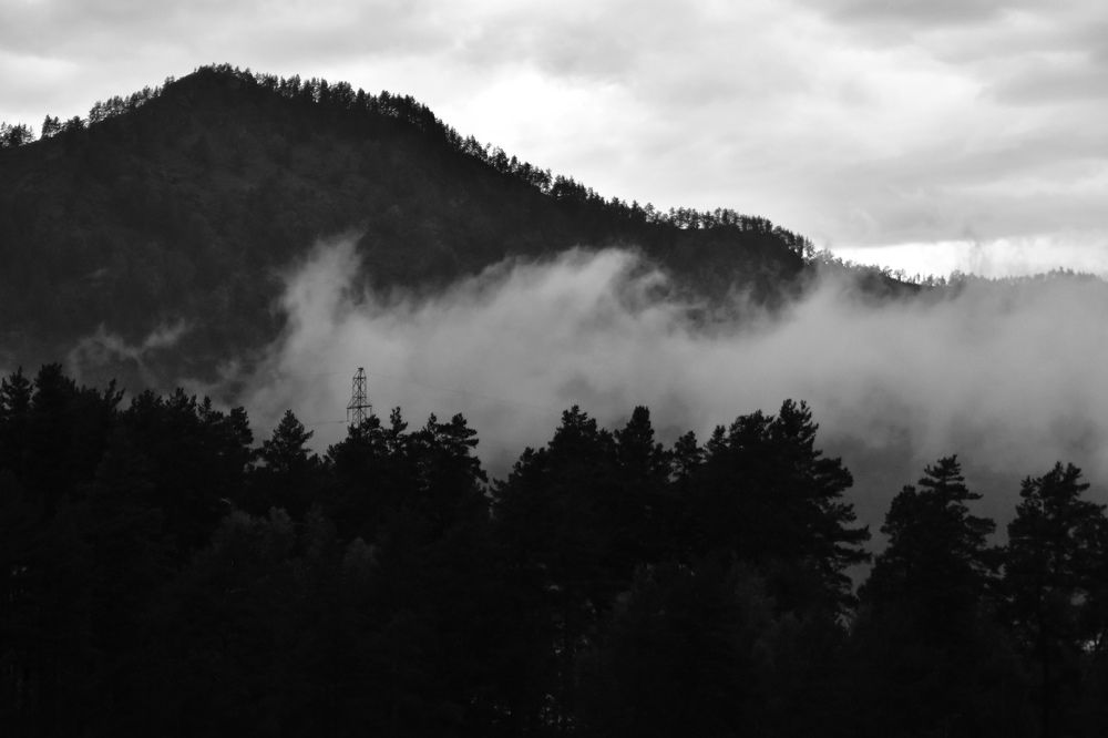 Фотография автора Евгения Гунина