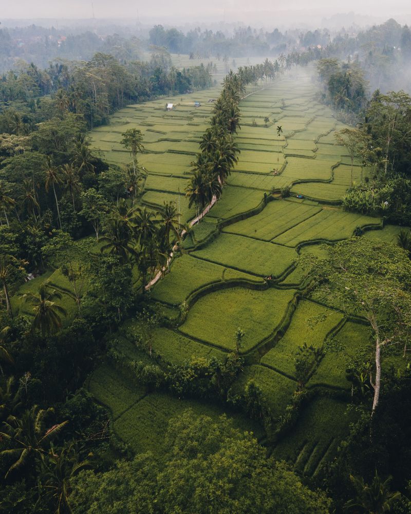 Photograph by Hidwii