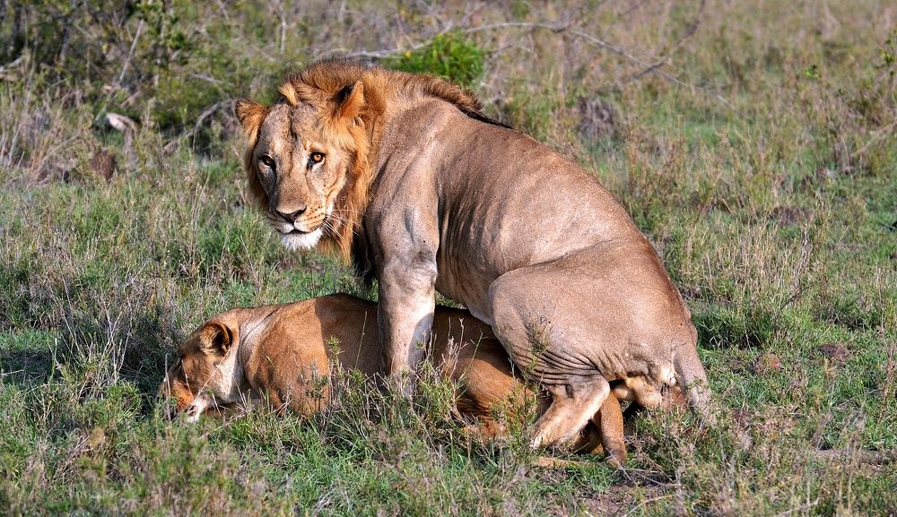 Photograph by Preeti Patel