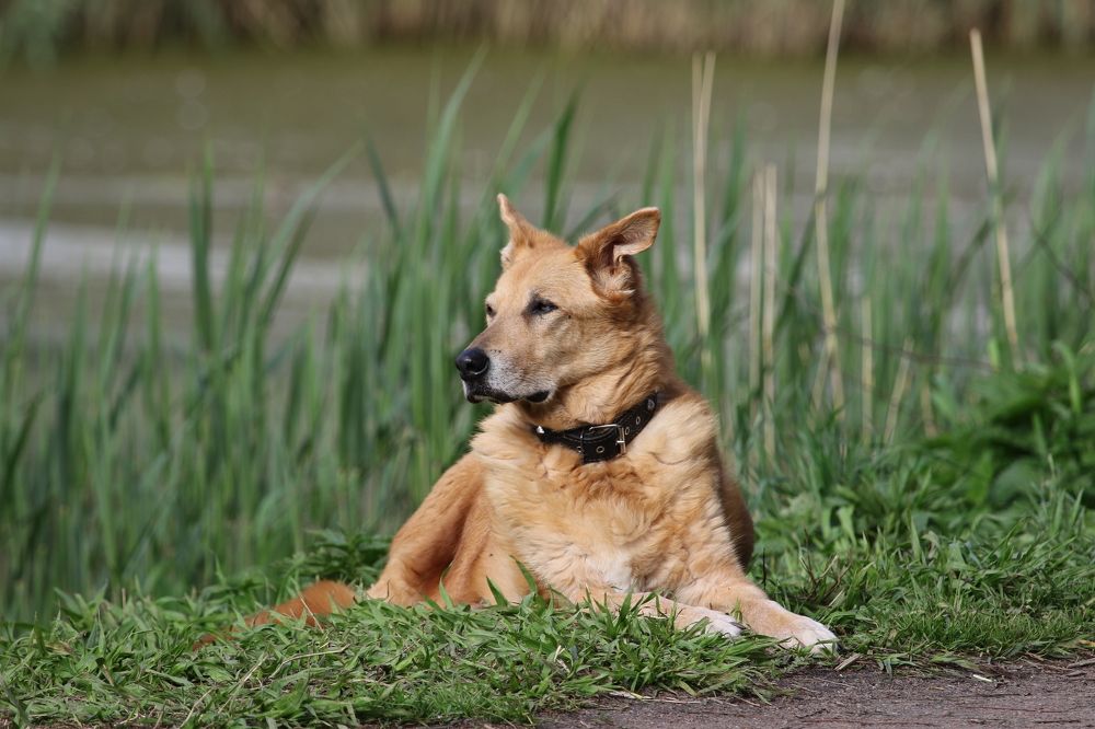 Photograph by Анна Чадова