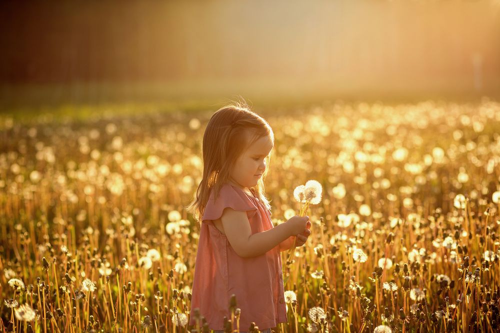 Photograph by Мария Аванесова