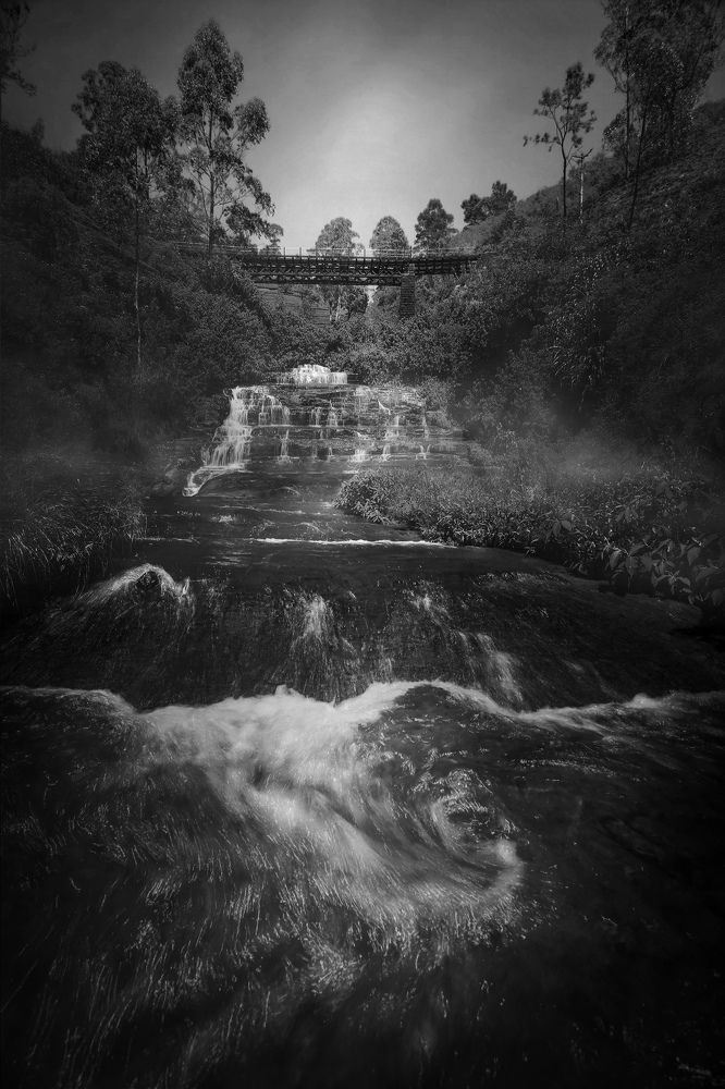 Photograph by Amila Hewagama