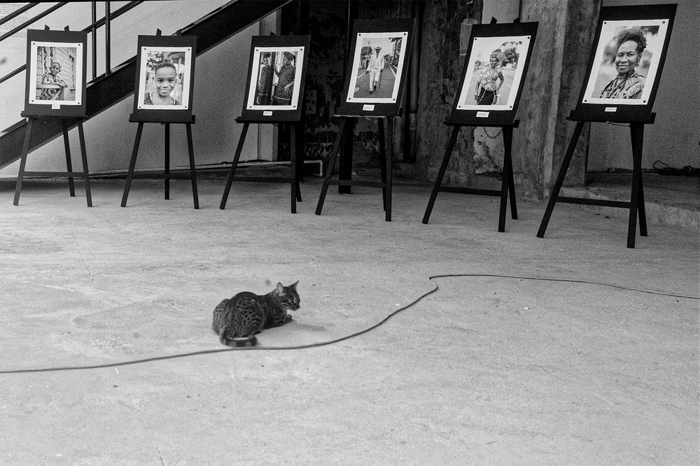 Photograph by Rafael Worrell