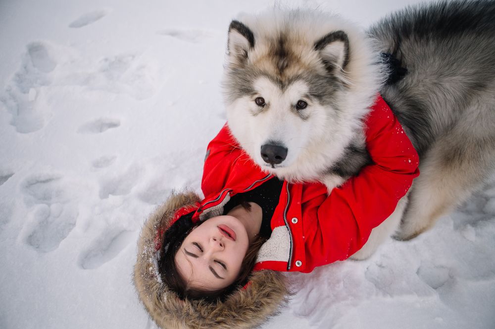 Photograph by Дарья Белякова