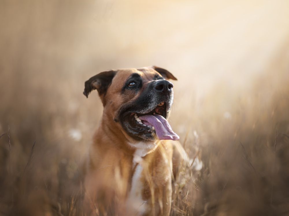 Фотография автора Ana Sánchez